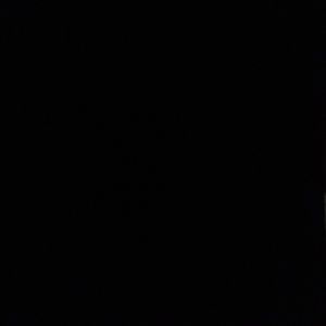 Meet your Posher, Heidi